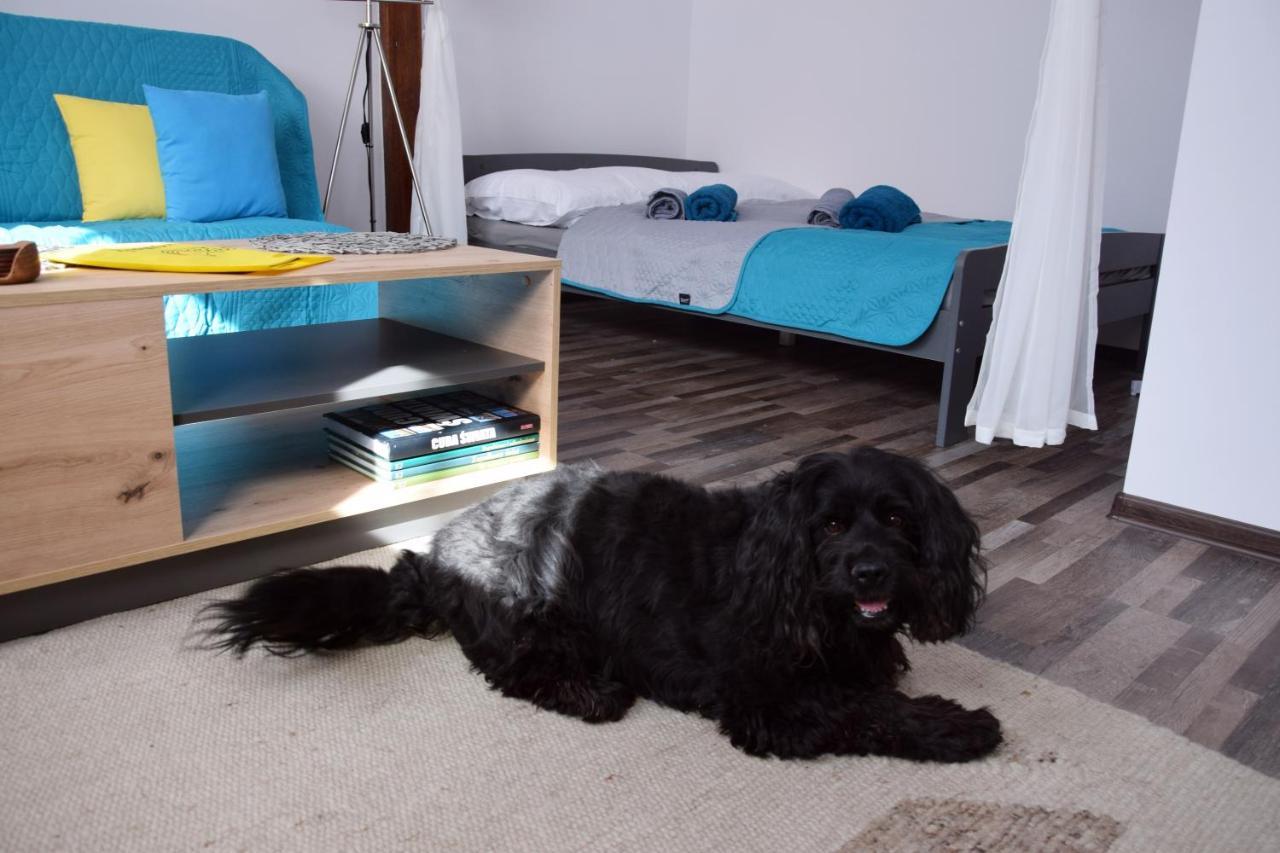 Apartament Gornicza W Kowarach Kowary Kültér fotó